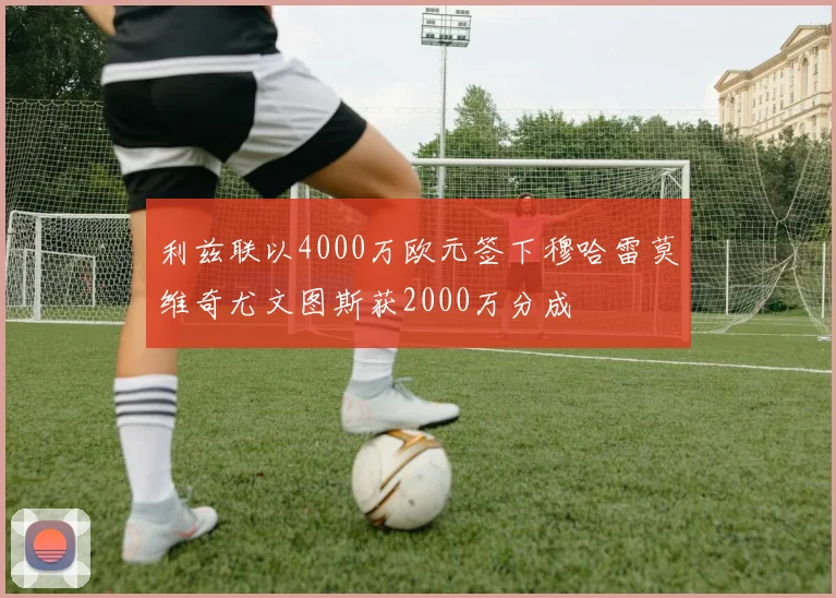 利兹联以4000万欧元签下穆哈雷莫维奇尤文图斯获2000万分成